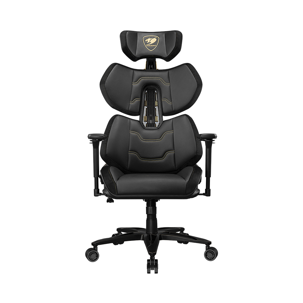 TERMINATOR ELITE GOLD 龍骨椅 黑金色 電競椅